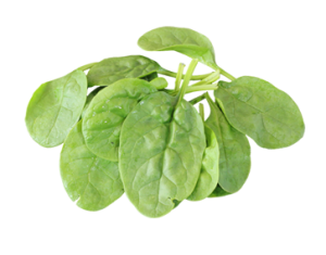 Spinach PNG-79193